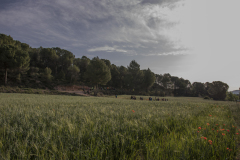 caminada-barca-22_118