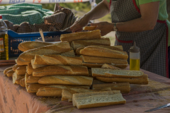 caminada-barca-22_130