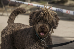 caminada-barca-22_139