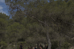 caminada-barca-22_257