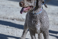 caminada-barca-23_113