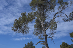 caminada-barca-23_136