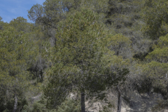 caminada-barca-23_187