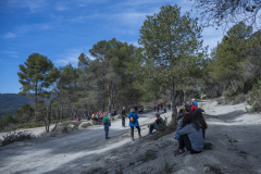 caminada-barca-23_241