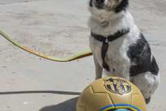 caminada-barca-23_405