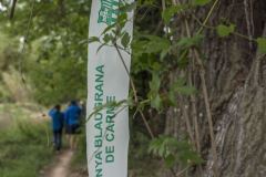 12a-CAMINADA-POPULAR-PENYES-BARCA-240421_109