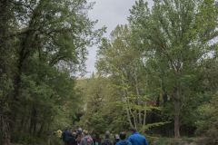 12a-CAMINADA-POPULAR-PENYES-BARCA-240421_115