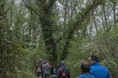 12a-CAMINADA-POPULAR-PENYES-BARCA-240421_118