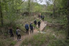 12a-CAMINADA-POPULAR-PENYES-BARCA-240421_119