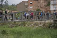 13a CAMINADA POPULAR  PENYES  BARÇA _104