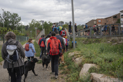 13a CAMINADA POPULAR  PENYES  BARÇA _106