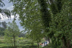 13a CAMINADA POPULAR  PENYES  BARÇA _110