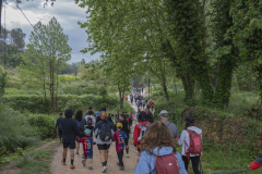 13a CAMINADA POPULAR  PENYES  BARÇA _118