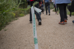 13a CAMINADA POPULAR  PENYES  BARÇA _127