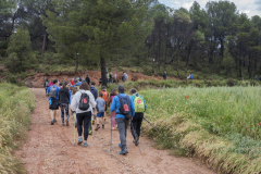 13a CAMINADA POPULAR  PENYES  BARÇA _142