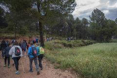 13a CAMINADA POPULAR  PENYES  BARÇA _143