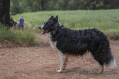 13a CAMINADA POPULAR  PENYES  BARÇA _144
