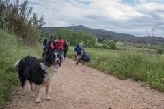 13a CAMINADA POPULAR  PENYES  BARÇA _150