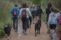 13a CAMINADA POPULAR  PENYES  BARÇA _153