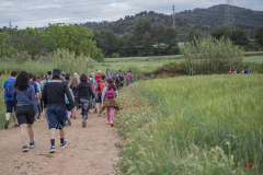 13a CAMINADA POPULAR  PENYES  BARÇA _157