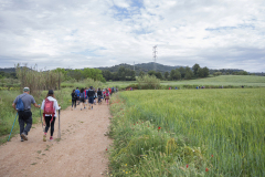 13a CAMINADA POPULAR  PENYES  BARÇA _158