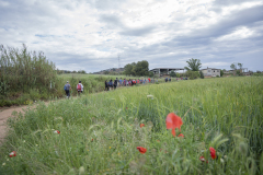 13a CAMINADA POPULAR  PENYES  BARÇA _161