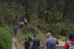 13a CAMINADA POPULAR  PENYES  BARÇA _175