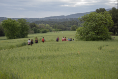 13a CAMINADA POPULAR  PENYES  BARÇA _181