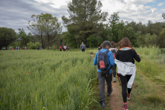 13a CAMINADA POPULAR  PENYES  BARÇA _184