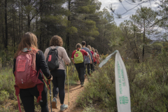 13a CAMINADA POPULAR  PENYES  BARÇA _207