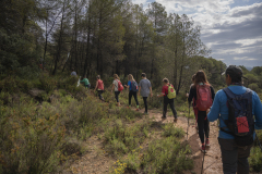 13a CAMINADA POPULAR  PENYES  BARÇA _208