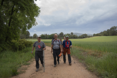13a CAMINADA POPULAR  PENYES  BARÇA _216