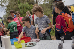 13a CAMINADA POPULAR  PENYES  BARÇA _226