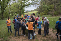 13a CAMINADA POPULAR  PENYES  BARÇA _228