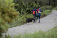 13a CAMINADA POPULAR  PENYES  BARÇA _280