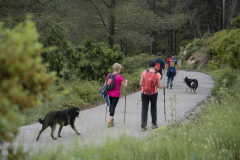 13a CAMINADA POPULAR  PENYES  BARÇA _281