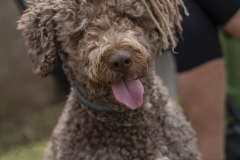 13a CAMINADA POPULAR  PENYES  BARÇA _313