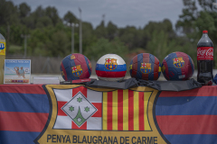 13a CAMINADA POPULAR  PENYES  BARÇA _315