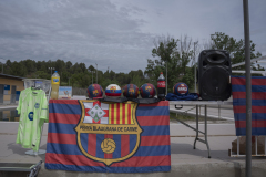 13a CAMINADA POPULAR  PENYES  BARÇA _316