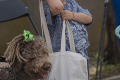 13a CAMINADA POPULAR  PENYES  BARÇA _339