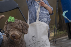 13a CAMINADA POPULAR  PENYES  BARÇA _340