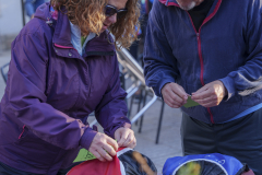 14a CAMINADA POPULAR  PENYES  BARÇA _017.JPG