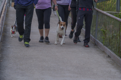 14a CAMINADA POPULAR  PENYES  BARÇA _085.JPG