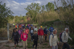 14a CAMINADA POPULAR  PENYES  BARÇA _133.JPG