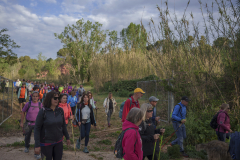 14a CAMINADA POPULAR  PENYES  BARÇA _134.JPG