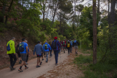 14a CAMINADA POPULAR  PENYES  BARÇA _175.JPG