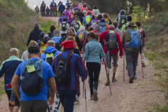 14a CAMINADA POPULAR  PENYES  BARÇA _186.JPG