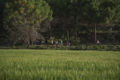 14a CAMINADA POPULAR  PENYES  BARÇA _202.JPG