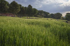 14a CAMINADA POPULAR  PENYES  BARÇA _203.JPG
