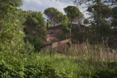 14a CAMINADA POPULAR  PENYES  BARÇA _213.JPG